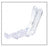 Amsino Vaginal Speculums - Disposable Vaginal Speculum, Size M - AS032M