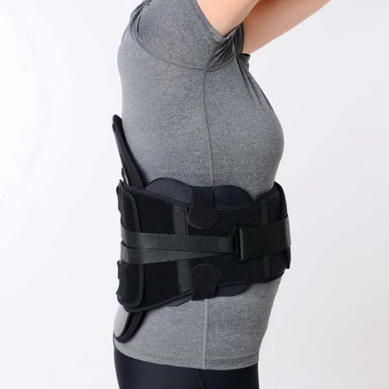 Back Support Belt