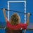 Rolyan Climbing Board and Bar