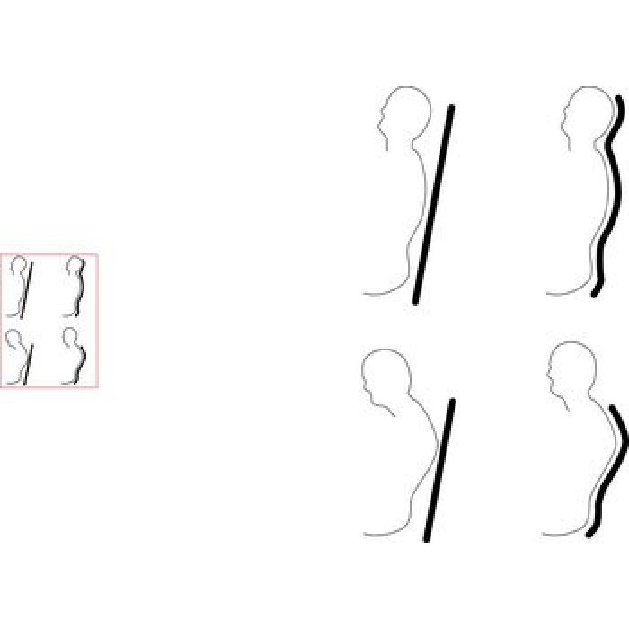 Comfort Company Incredihugger Back Cushion