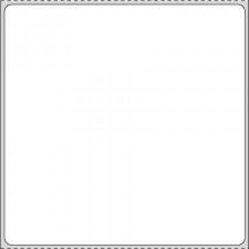 PDC Healthcare Thermal Transfer Labels - LABEL, THERMAL, TRANSFER, 1"C 4X4, WTE, BLANK - 59715295