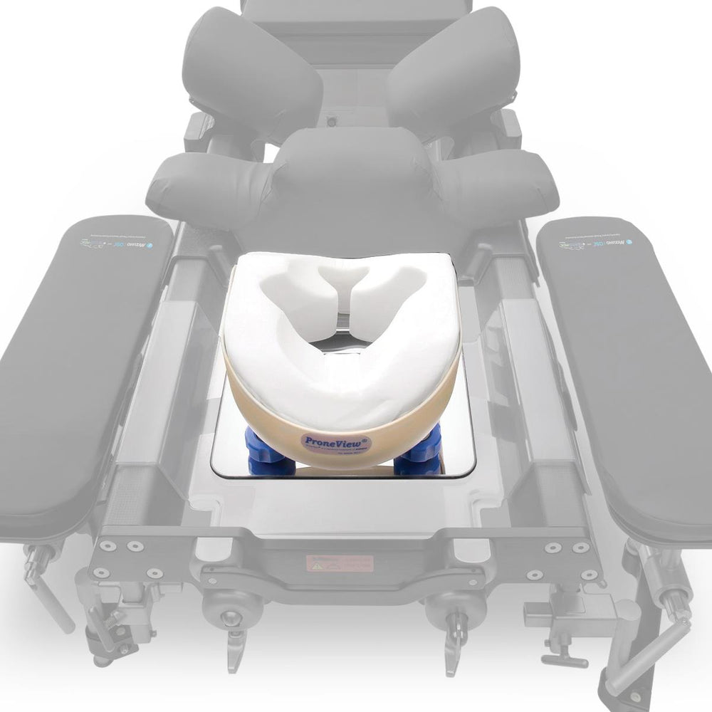 Mizuho Co., Ltd ProneView Protective Helmets - HELMET, ADJUSTABLE, PROTECTIVE - D28502CE