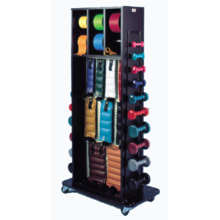 Hausmann Combination Weight Rack with Mirror — Grayline Medical