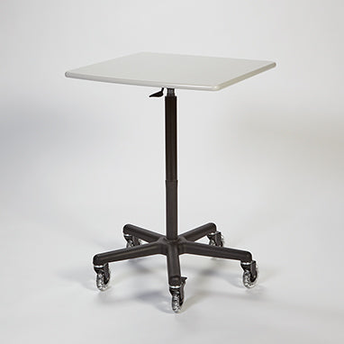 MedValue Economy PalWOW - Workstation on Wheels