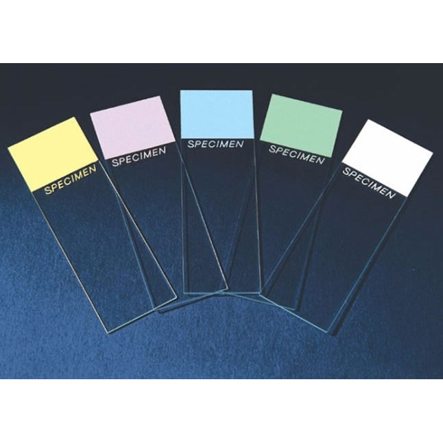 Cardinal Health Colorfrost Slides - Colorfrost Slide, Lilac, 25 mm x 75 mm - M6148-1L