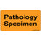 Label Paper Removable Pathology Specimen 1" Core 2 15/16" X 1 1/2" Fl. Orange 333 Per Roll