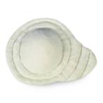 Bsn Medical Inc JOBST Padded Inserts - , Power-Dry Padded Insert, Black, C Cup, Size M - 3214143