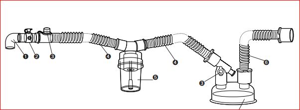 water Trap