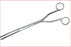 Forceps