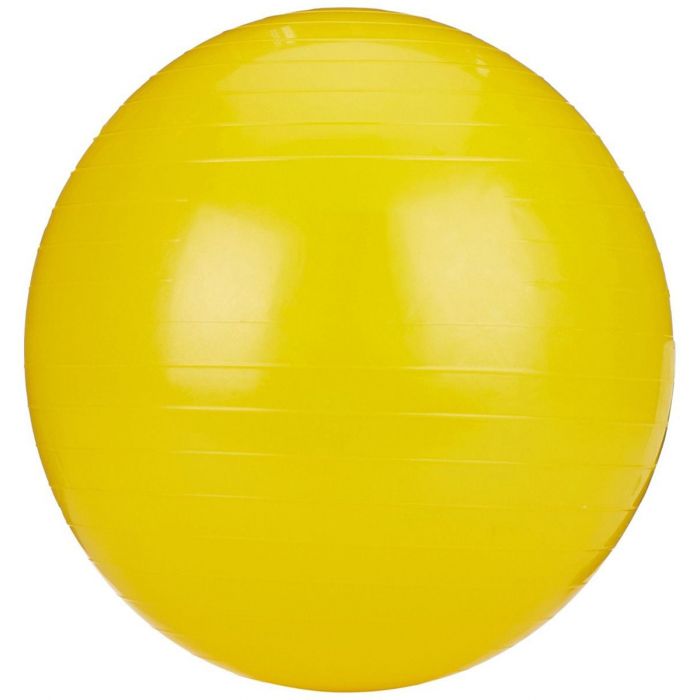Rolyan Energizing Exercise Balls