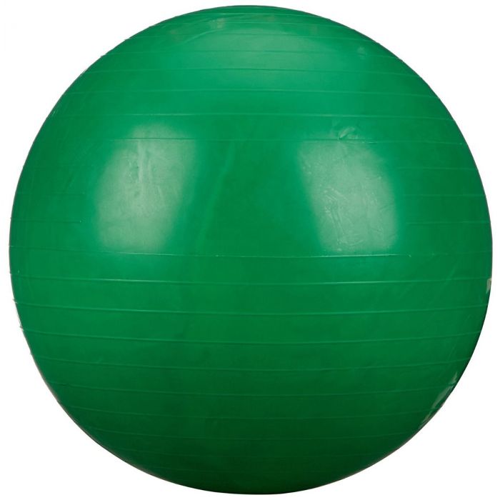 Rolyan Energizing Exercise Balls