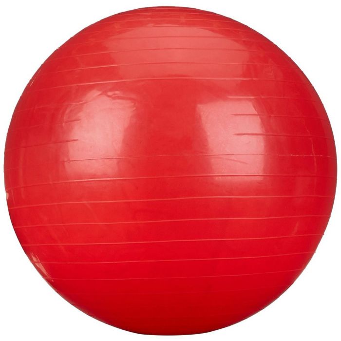 Rolyan Energizing Exercise Balls