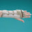 Rolyan In-Line Splint