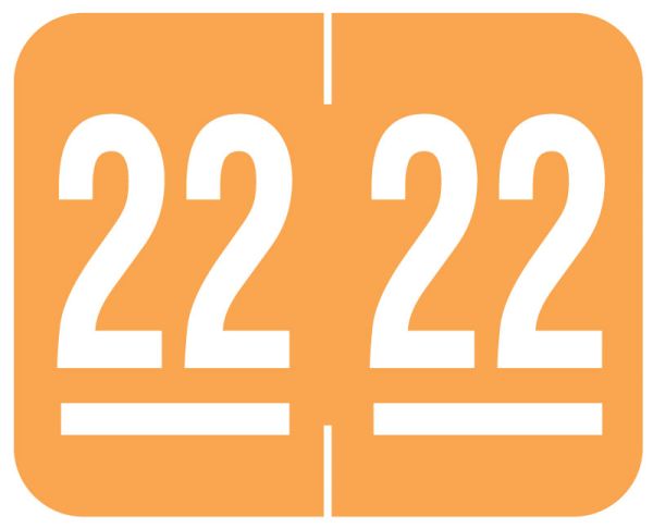 Medical Use Labels - Tab Compatible 2022 Year Label, 1-1/4" x 1"