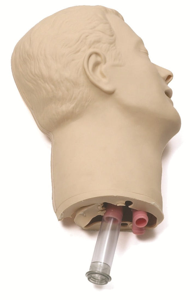 Training Aids & Models