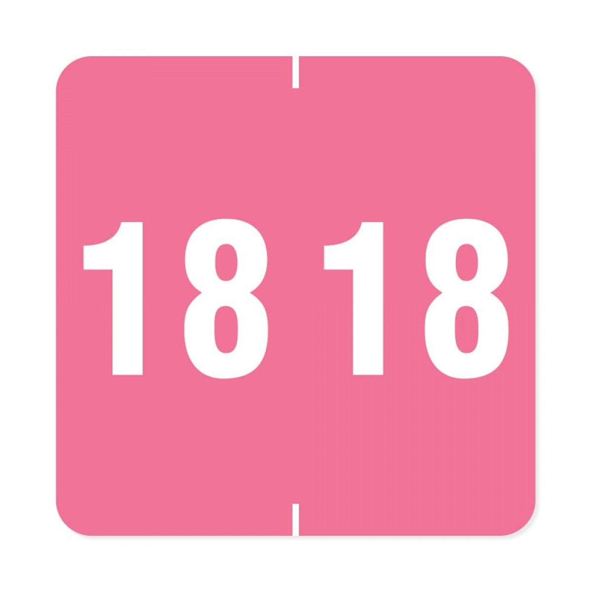 Ames Compatible Color Code Label Year